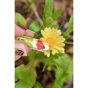 Handcrafted resin ladybug hair clip